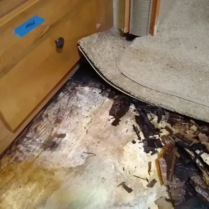 Wood Floor Water Damage in Woodsfield, OH